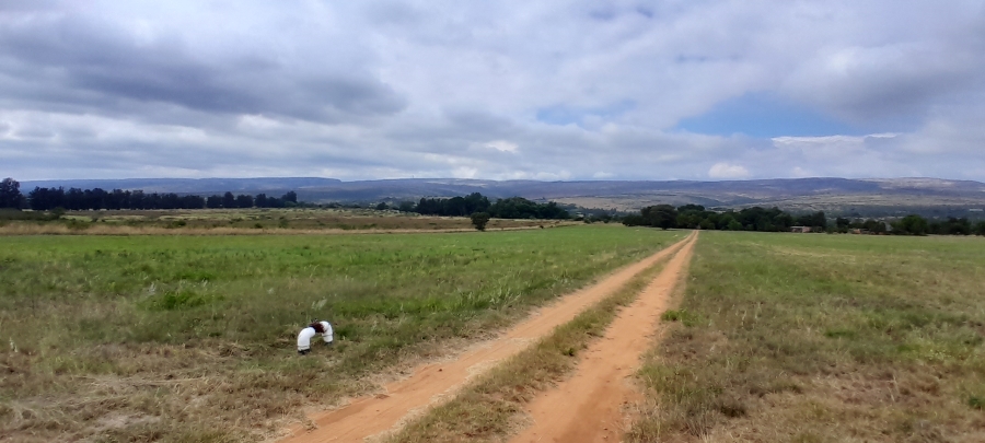 Commercial Property for Sale in Grootfontein North West